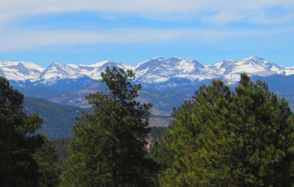 Colorado Forest