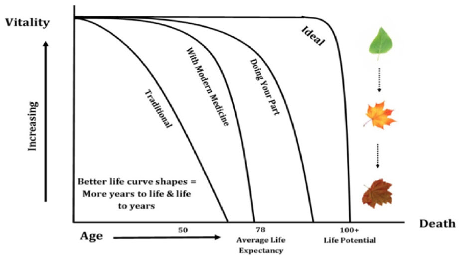 vitality chart