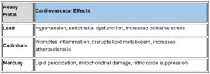Heavy metals and effects on heart