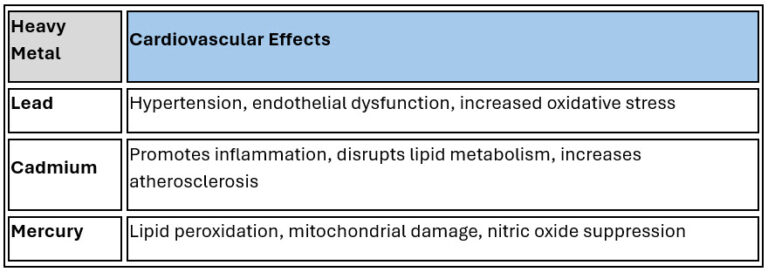 EDTA Chelation Therapy: An Ally in Fighting Atherosclerosis